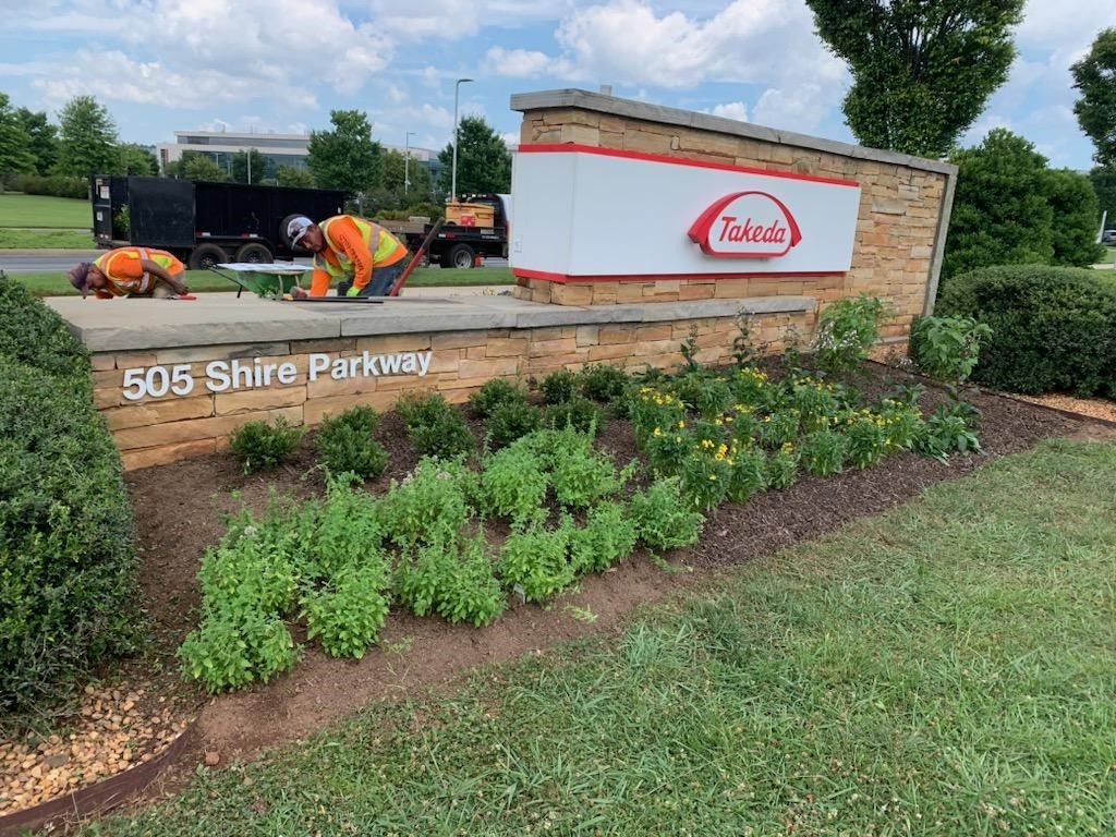 Gallery | Landscape Concepts