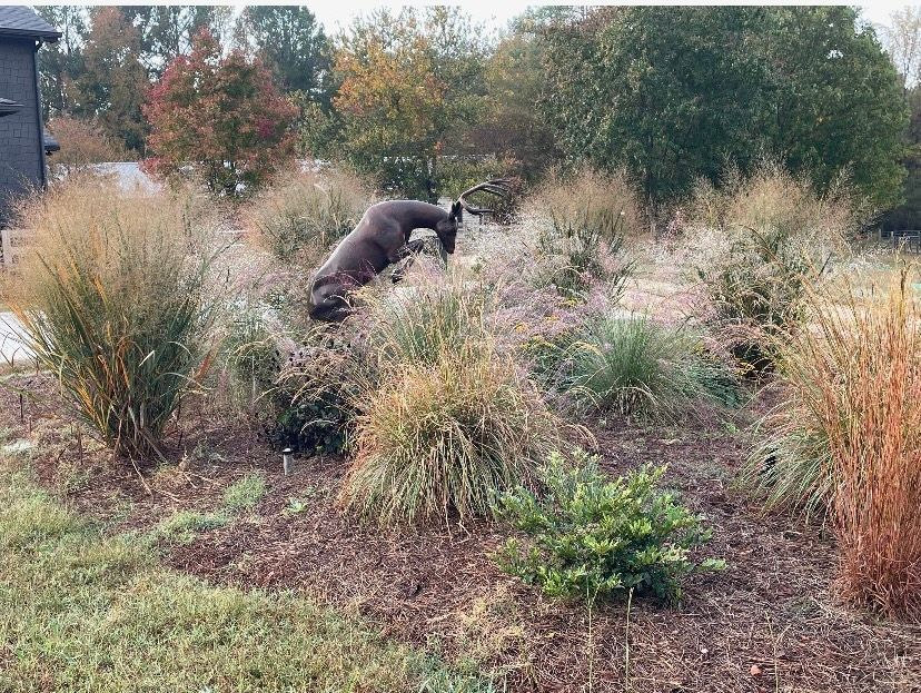 Gallery | Landscape Concepts