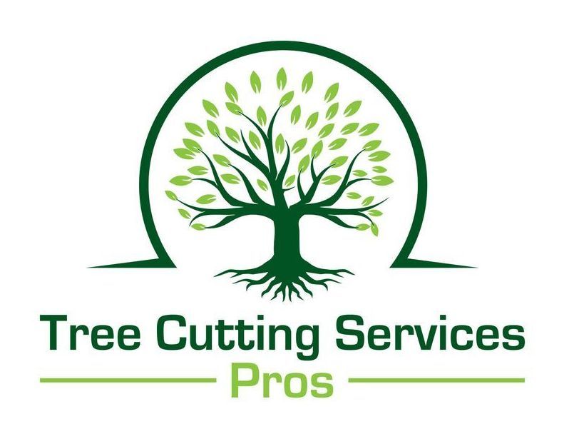 tree-cutting-service-manassas-va