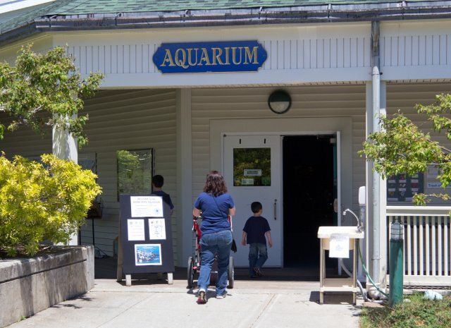 State of Maine Aquarium