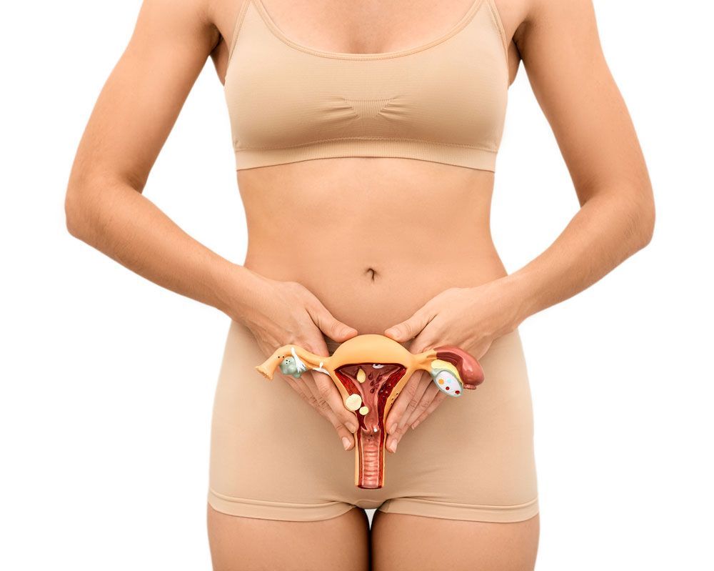 DRA. IRMA FERNANDA CASTRO MORA