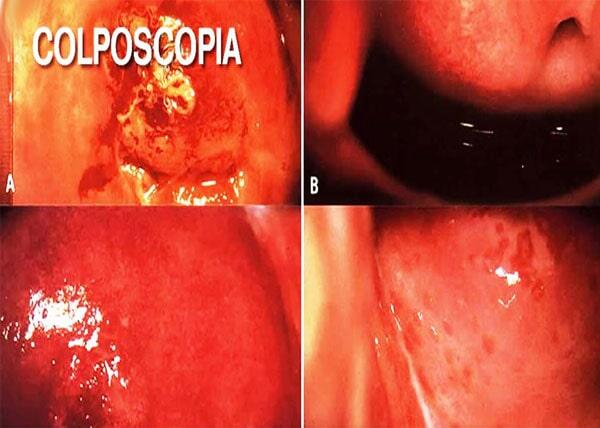 DRA. IRMA FERNANDA CASTRO MORA