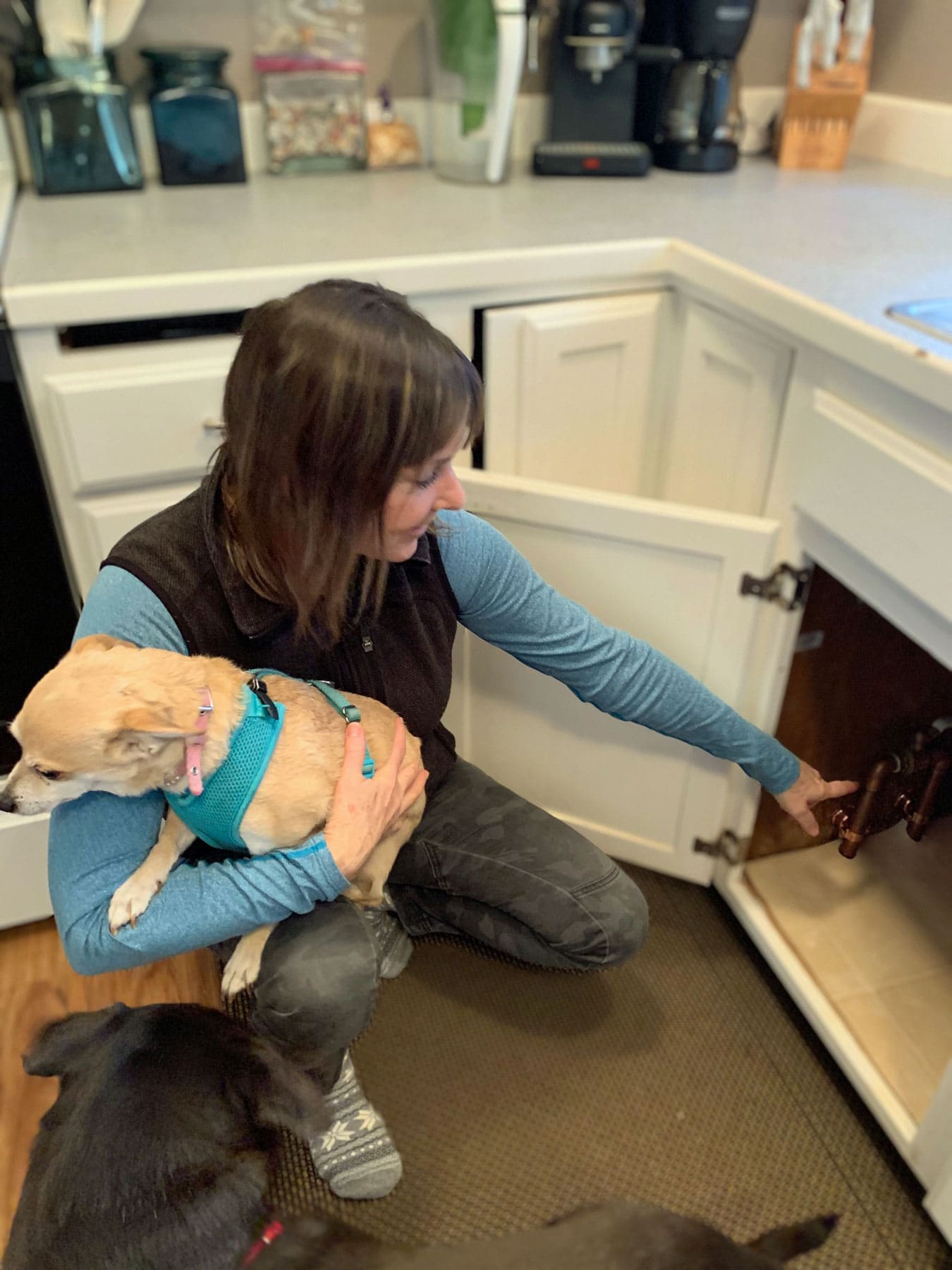 A woman is holding a dog in her arms while looking under a kitchen sink.