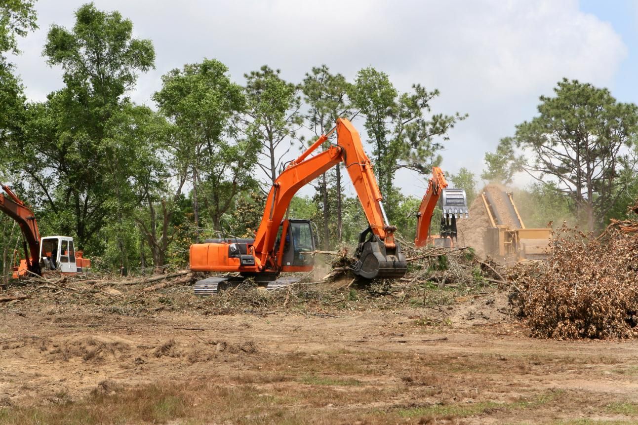 Orange excavators clearing brush on a dirt lot beside trees under a cloudy sky.