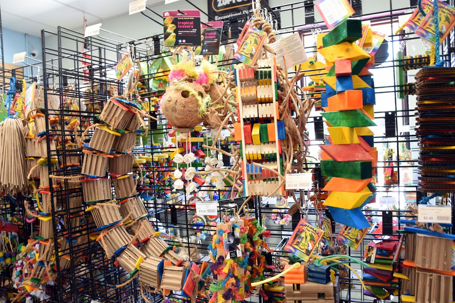 Bird Supply of New Hampshire & the Pet Stop 10