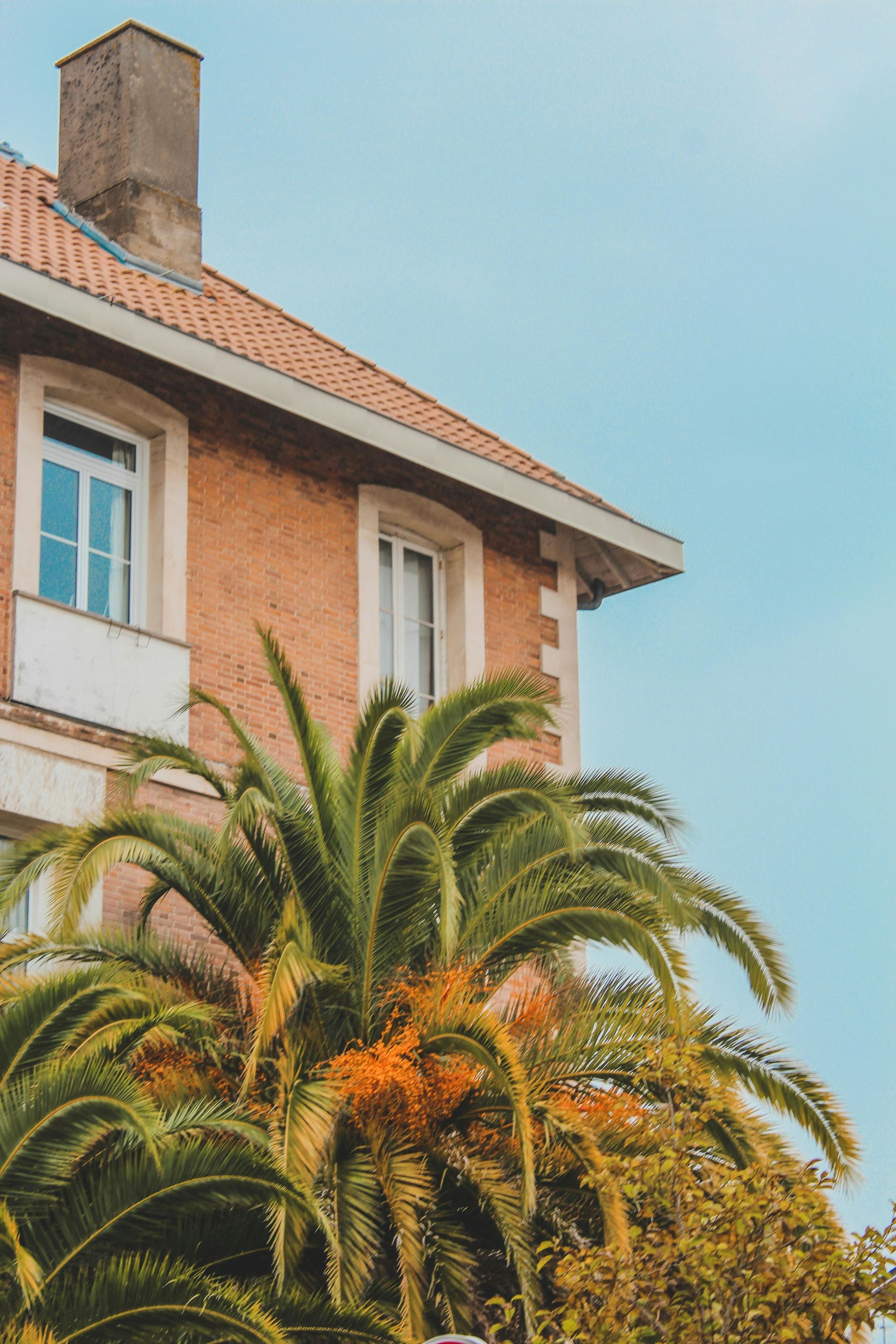 A brick house with a palm tree in front of it.
