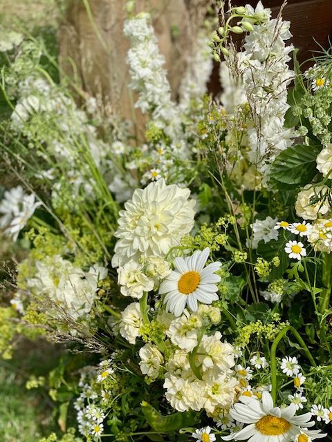 Aisle Meadow Flowers Huntsmill Farm