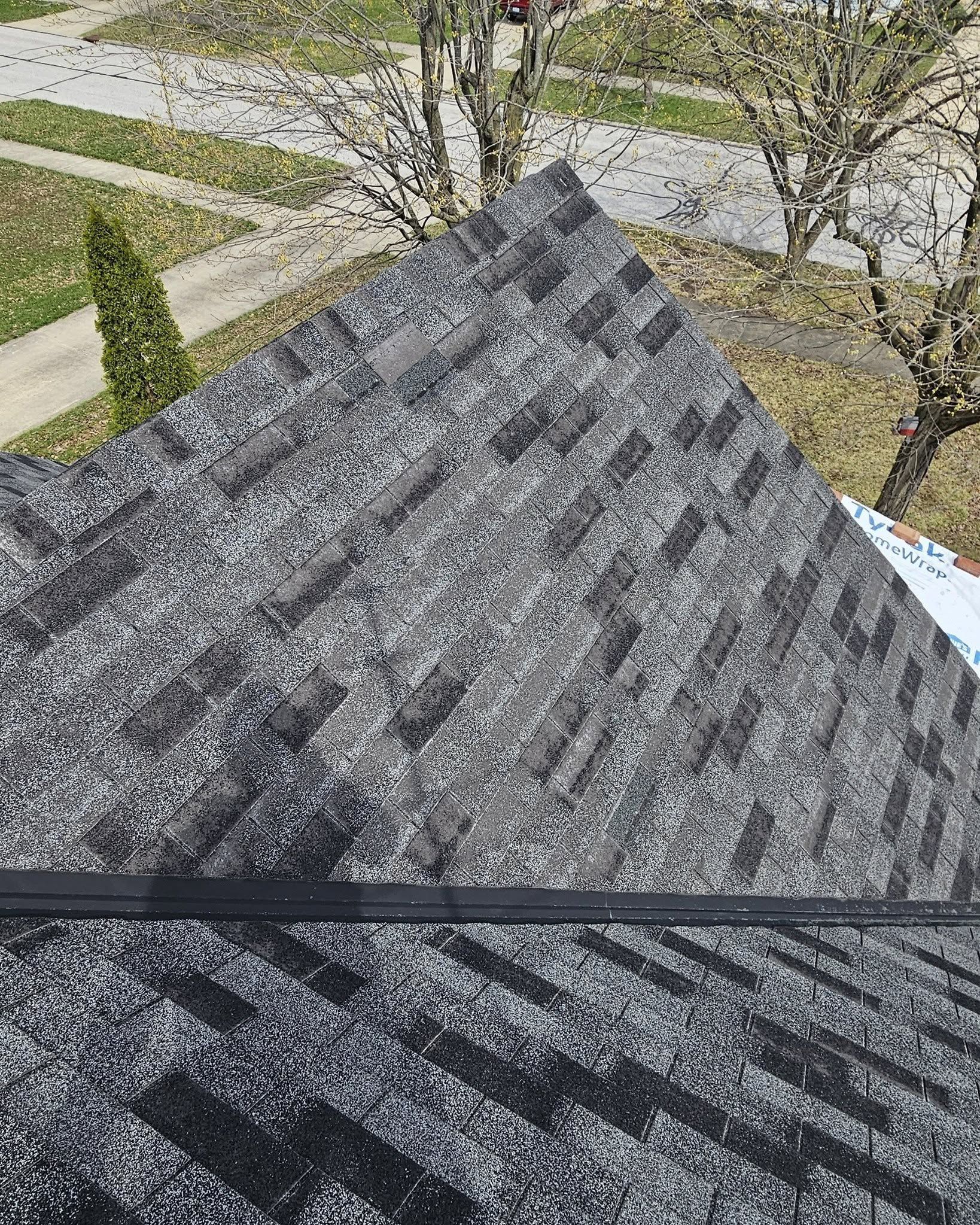 View from a shingled roof over a sidewalk and trees, with shadows across the lower roof edge.
