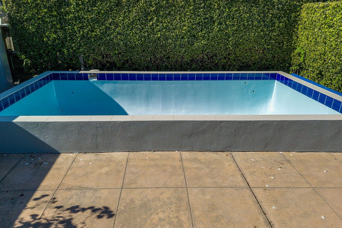 Empty rectangular swimming pool with blue tiles, surrounded by concrete, next to a green hedge.