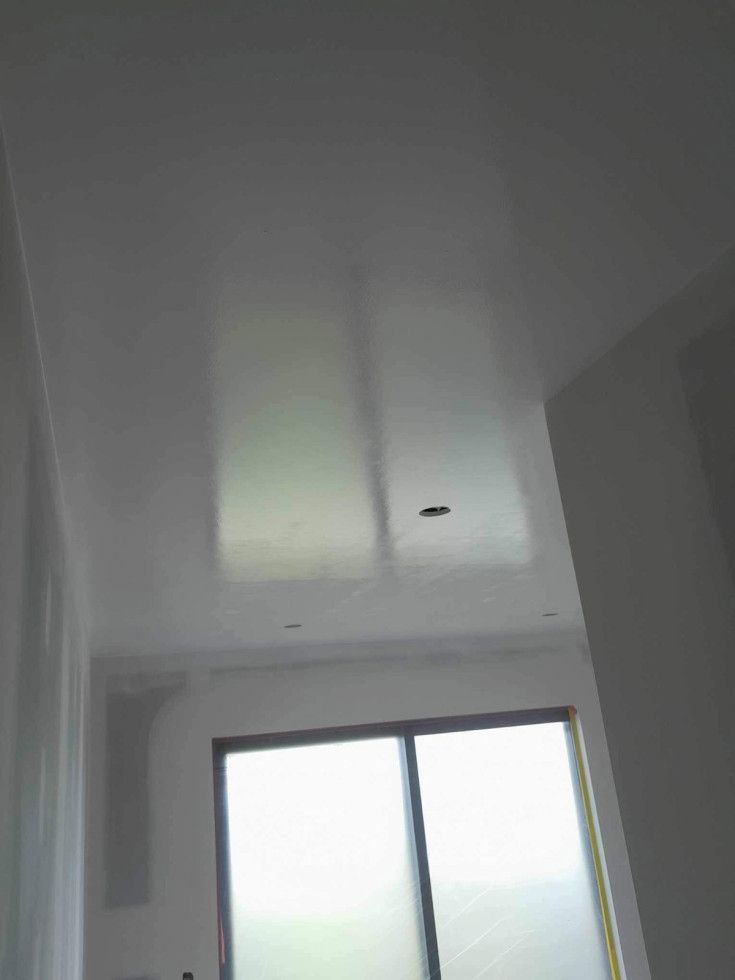 Ceiling with rectangular skylights and frosted glass sliding door below.