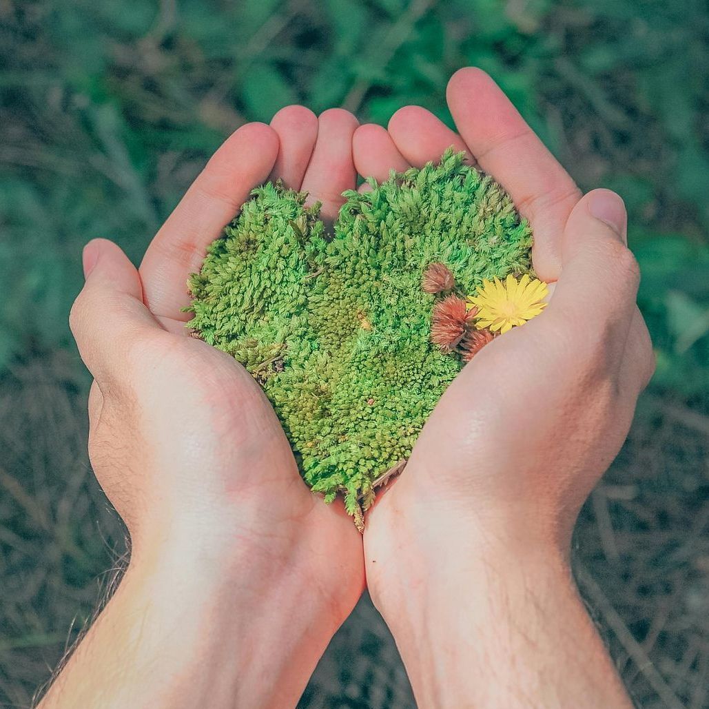 A person is holding a heart made of grass in their hands.