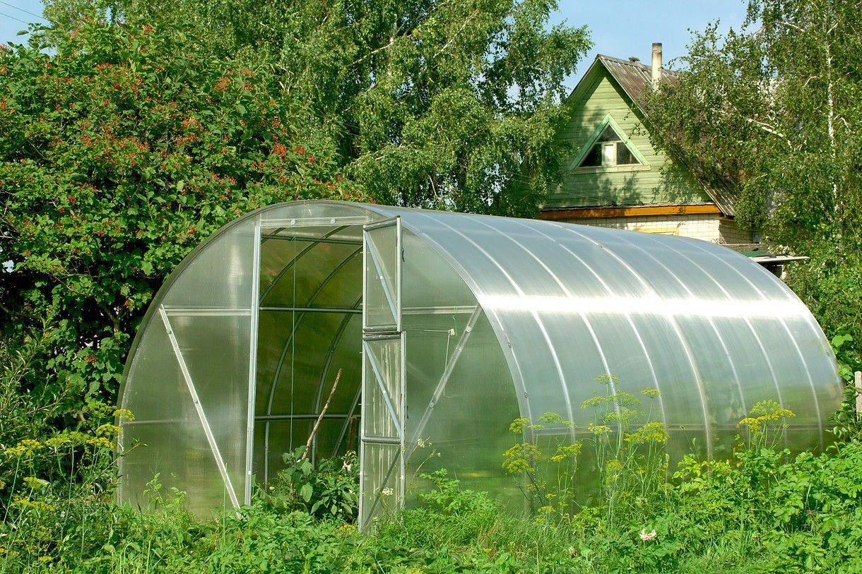 Какую Теплицу Купить