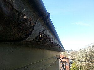 Gutter Repairs Sydney