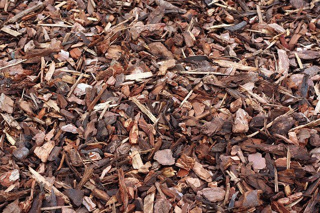 mulch