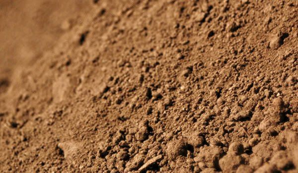 topsoil image