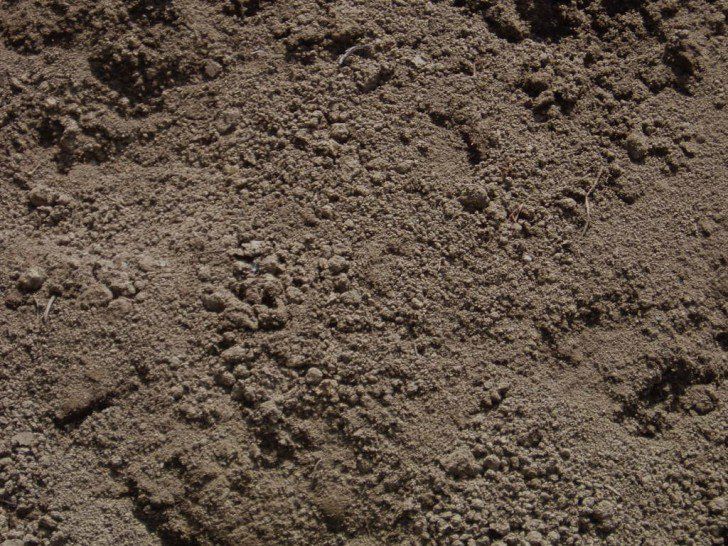 topsoil