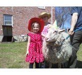 enchantedanimalparties