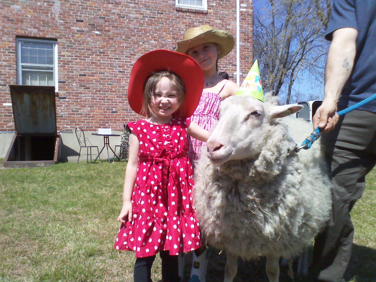 enchantedanimalparties