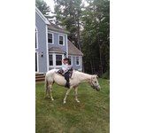 enchantedanimalparties