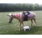 enchantedanimalparties