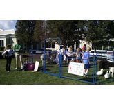 enchantedanimalparties