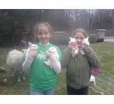 enchantedanimalparties