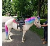 enchantedanimalparties