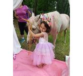 enchantedanimalparties