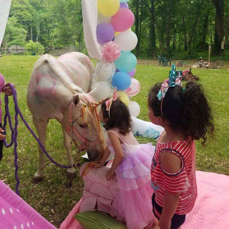 enchantedanimalparties