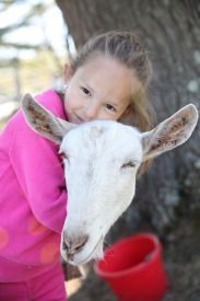 enchantedanimalparties