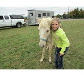 enchantedanimalparties