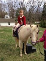 enchantedanimalparties