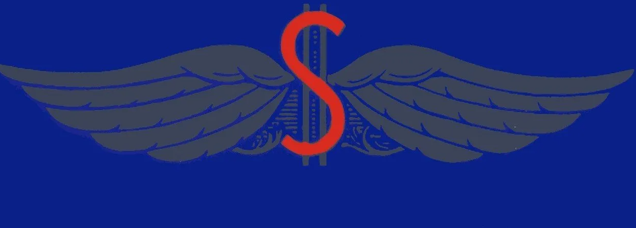 A dollar sign with wings on a blue background.