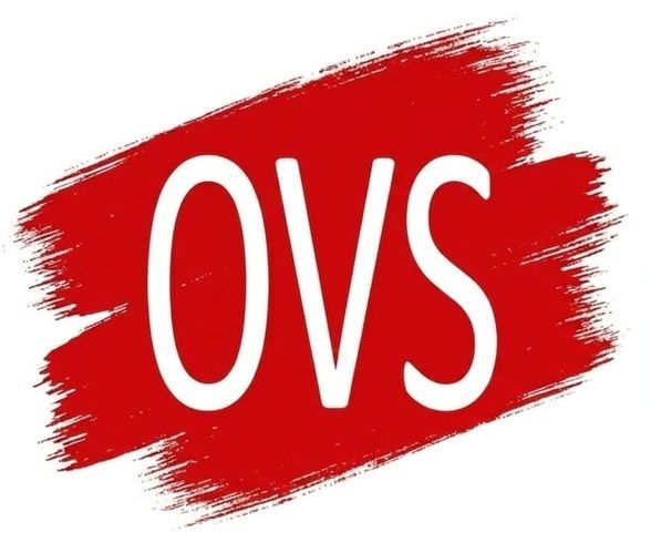 OVS LOGISTICS - Multimodal Freight Forwarder - Italia