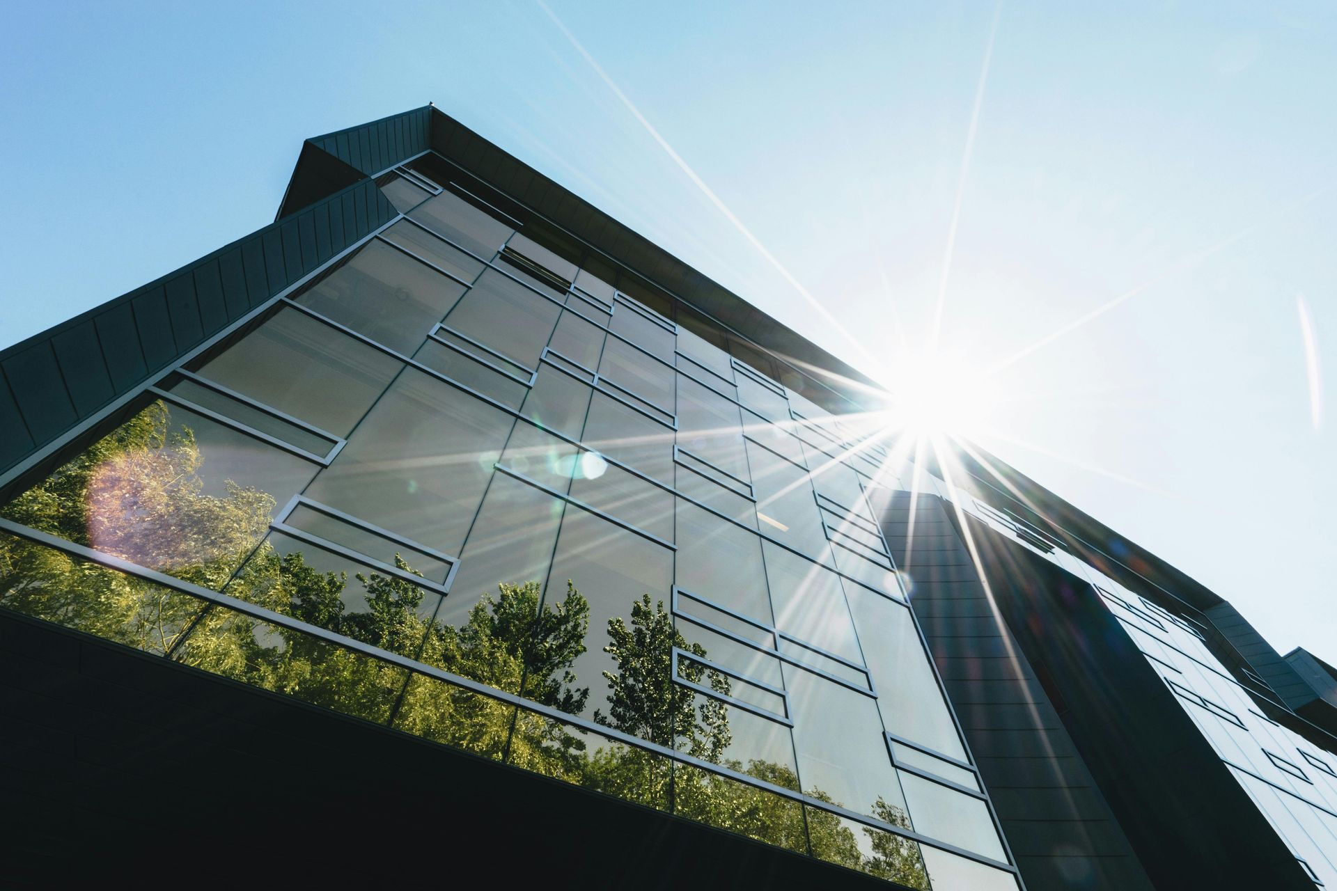 Modern glass office building viewed from below with bright sun flare and trees in front