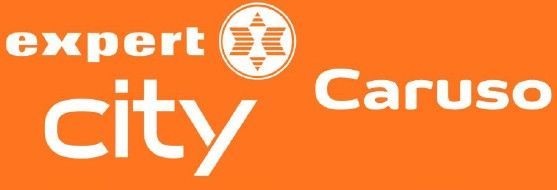 Caruso Expert City logo