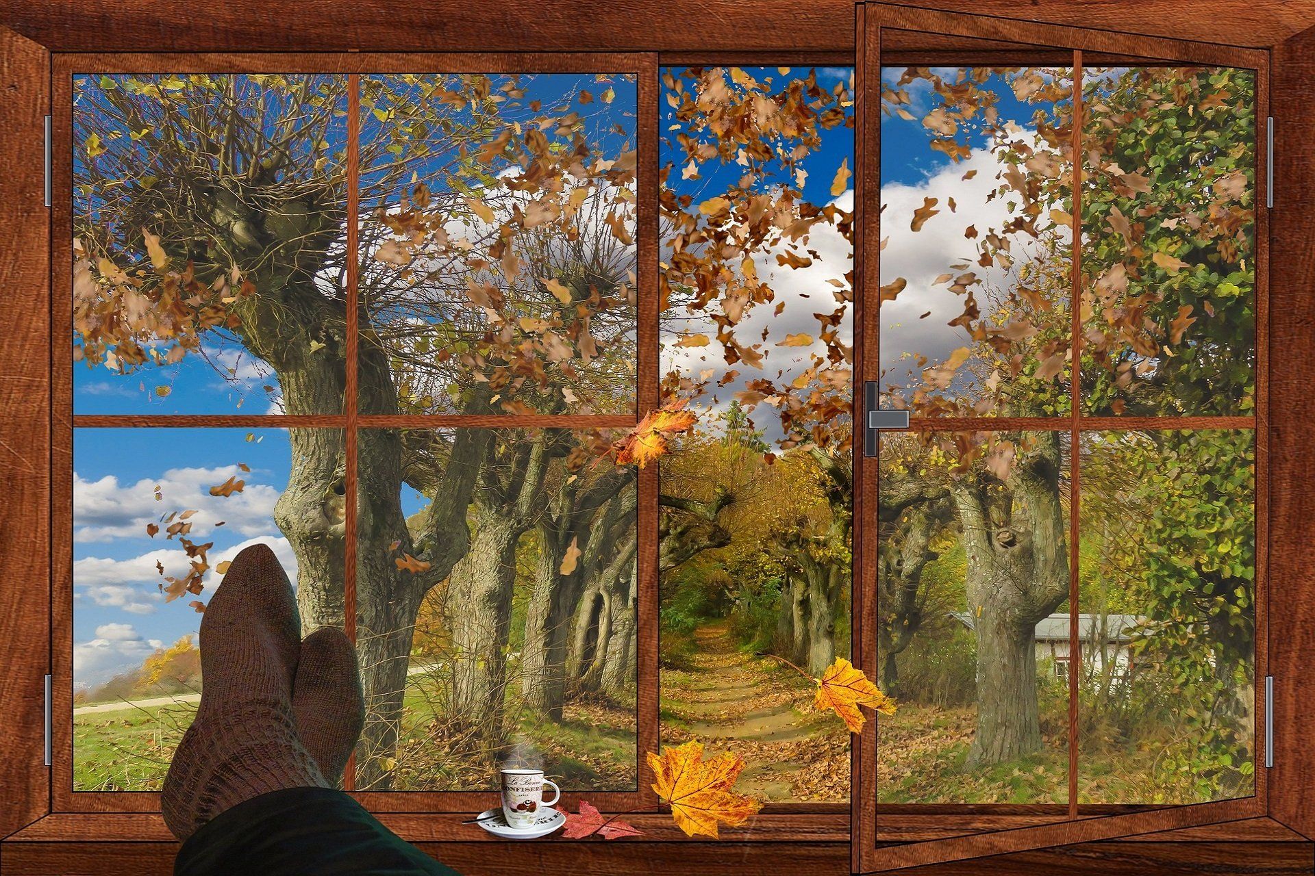 architectural window tinting