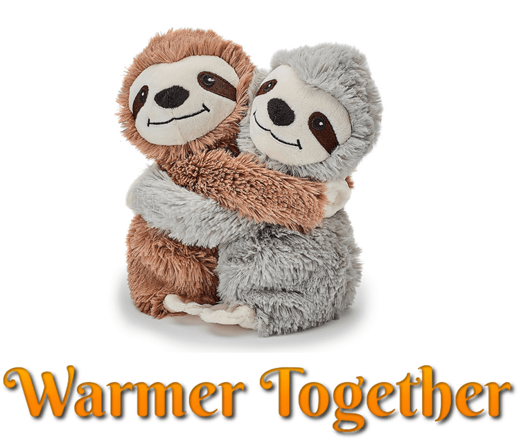 two sloths hugging