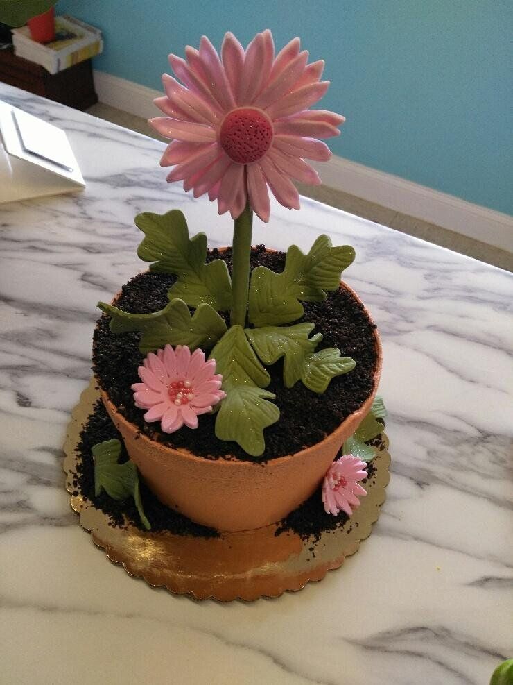 A cake with a pink flower in a pot