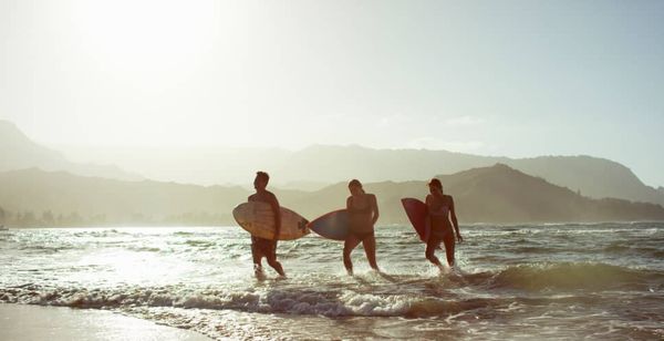 aloha maui surfer tenants
