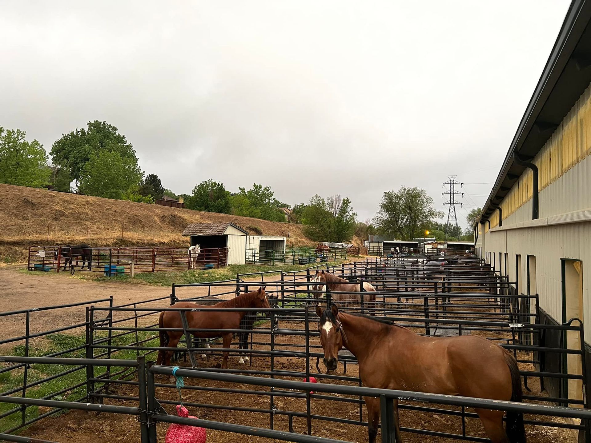 Equestrian Center
