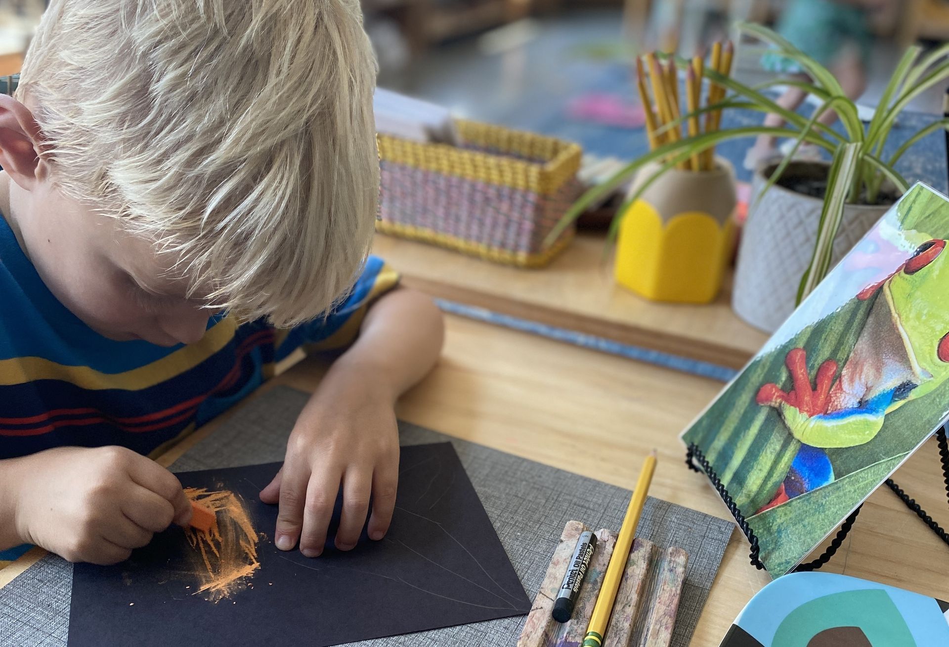 An IMA student draws a tree frog.