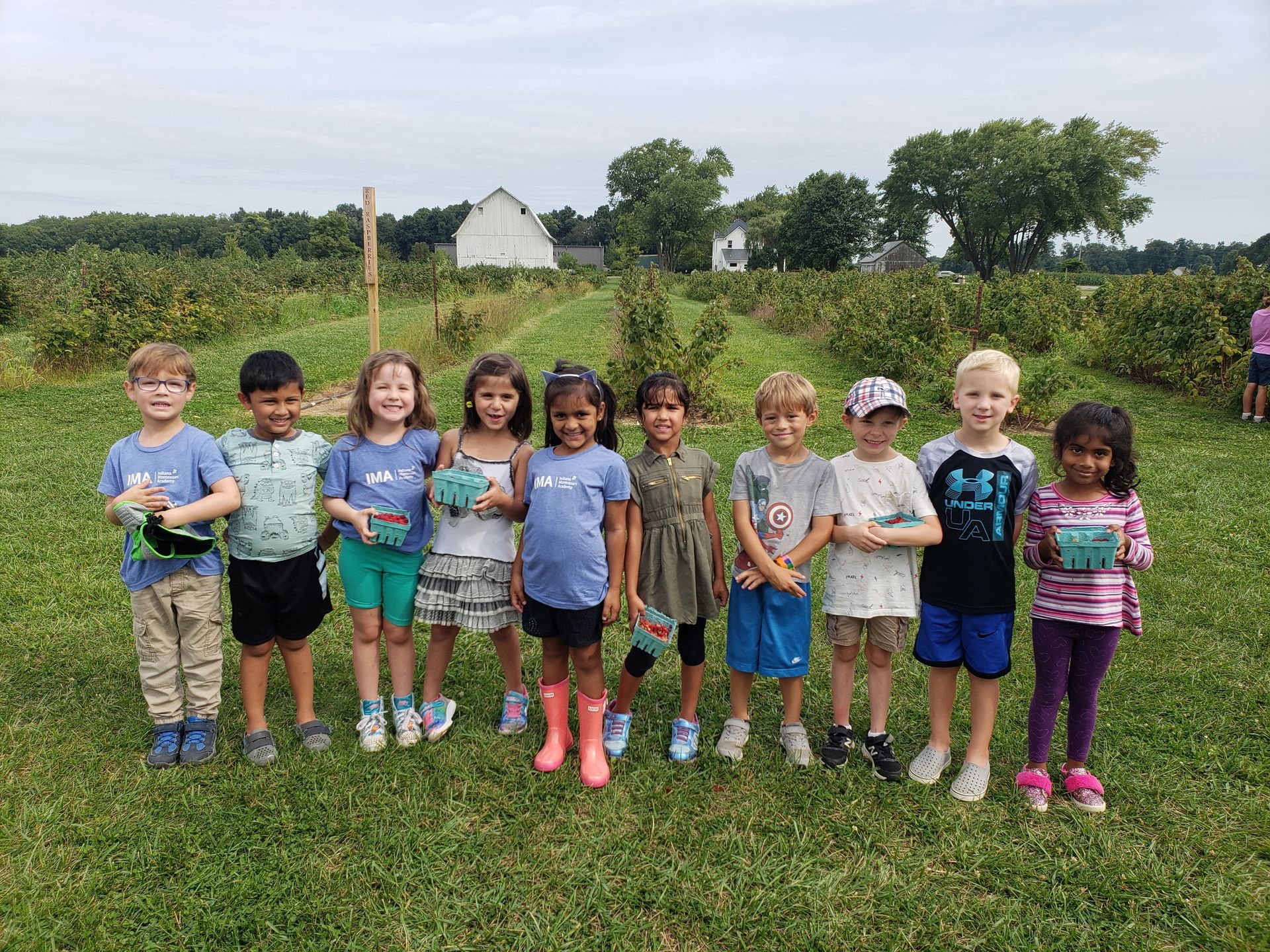 Montessori Kindergarteners picking raspberries at Spencer Farm