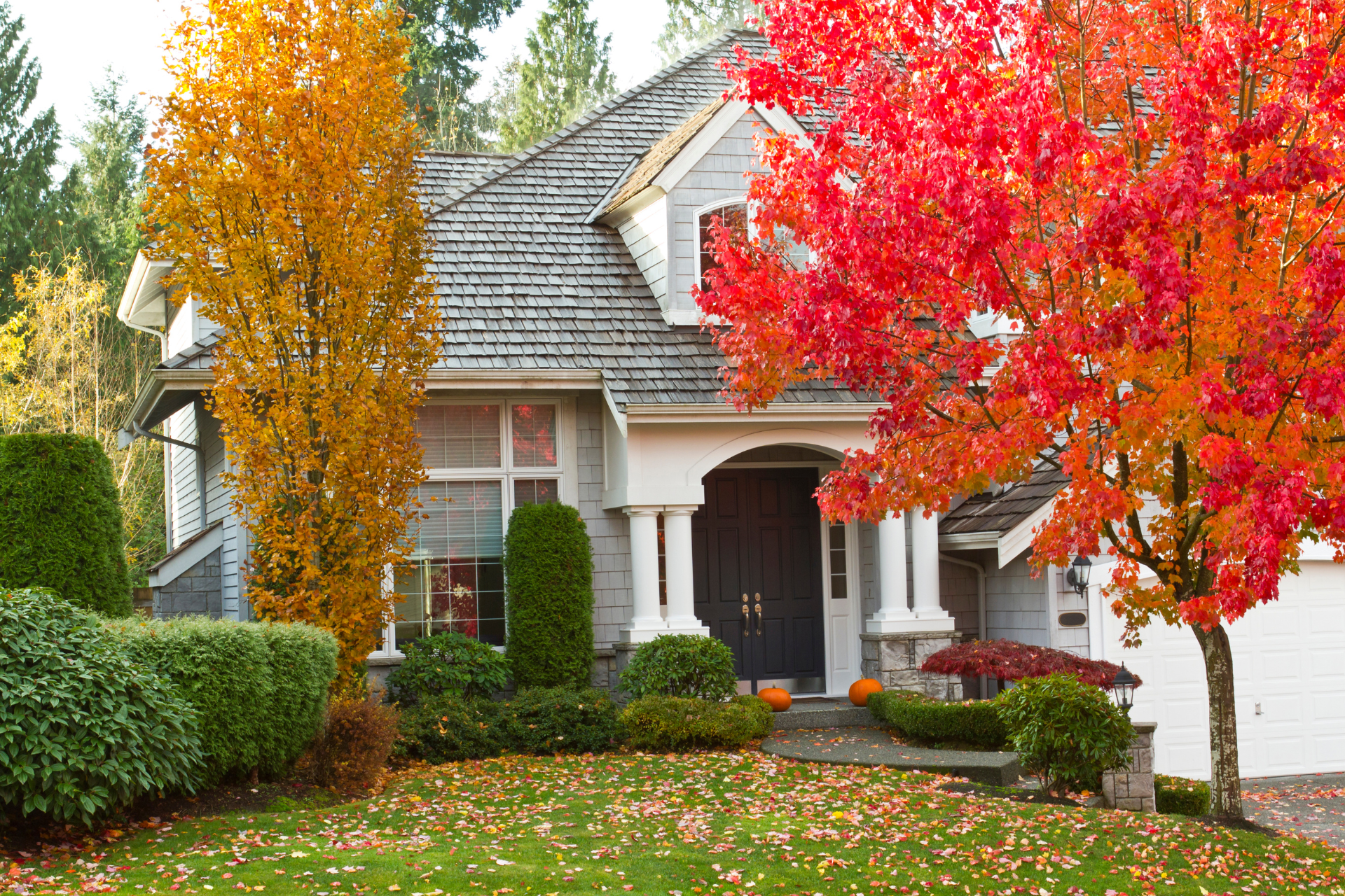 A house with red and yellow leaves in front of it