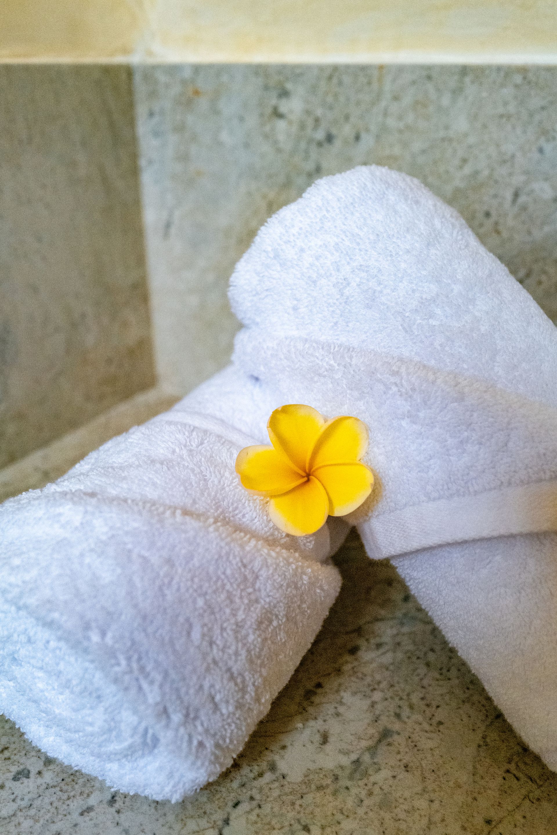Two rolled white towels, with a yellow flower resting on them.