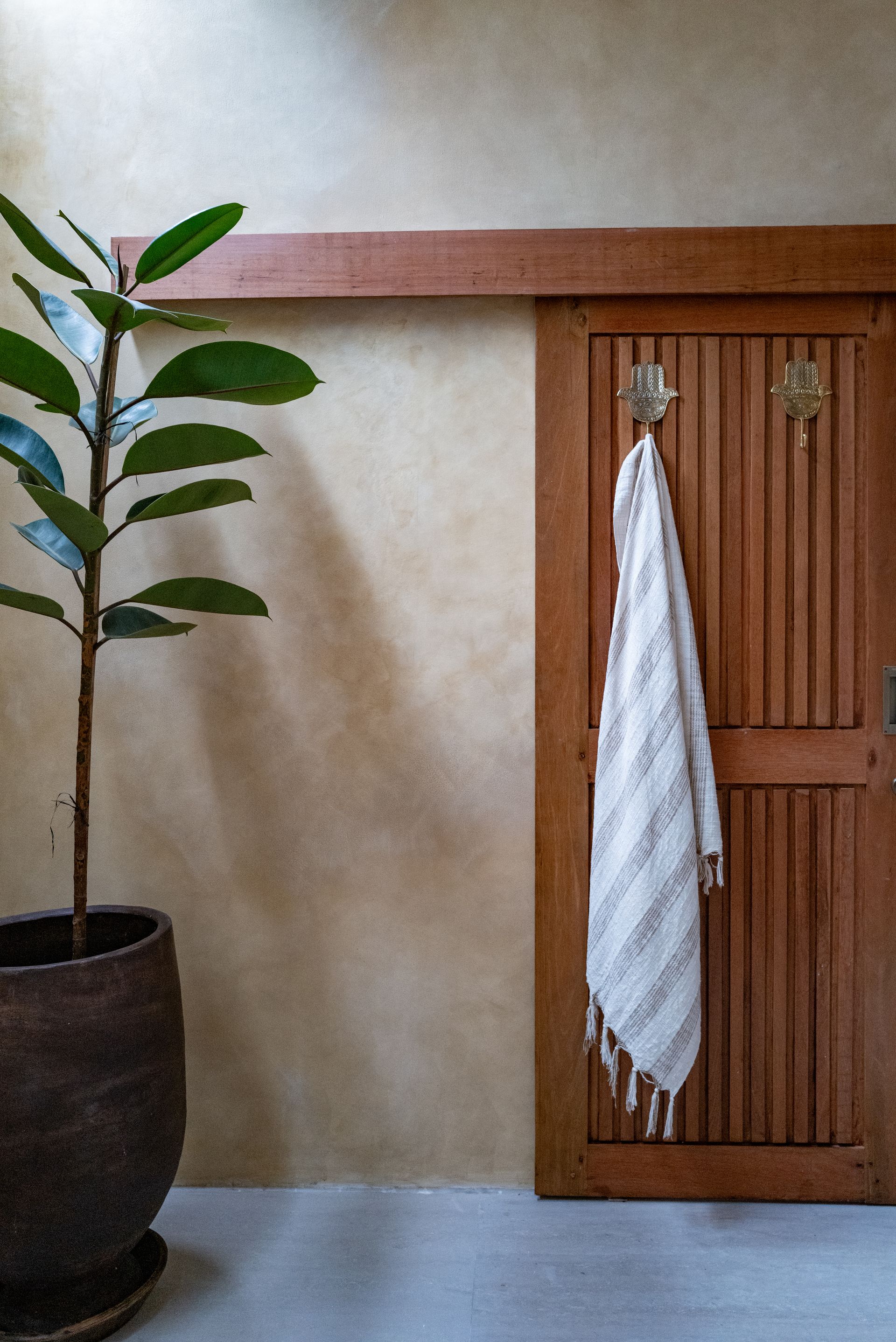 A tall, leafy potted plant stands near a wooden sliding door with a towel hanging on it.