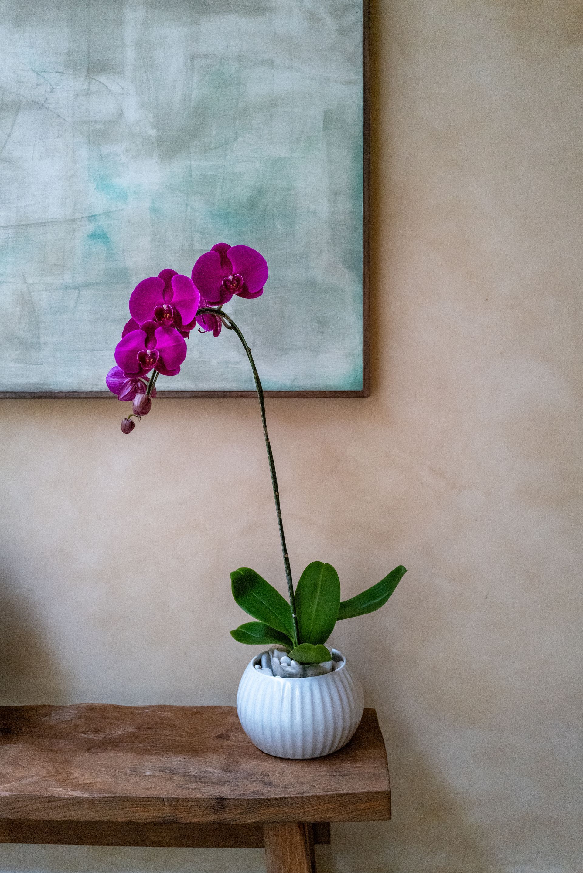 Purple orchid in white pot on a wooden shelf, against a textured beige wall and abstract art.