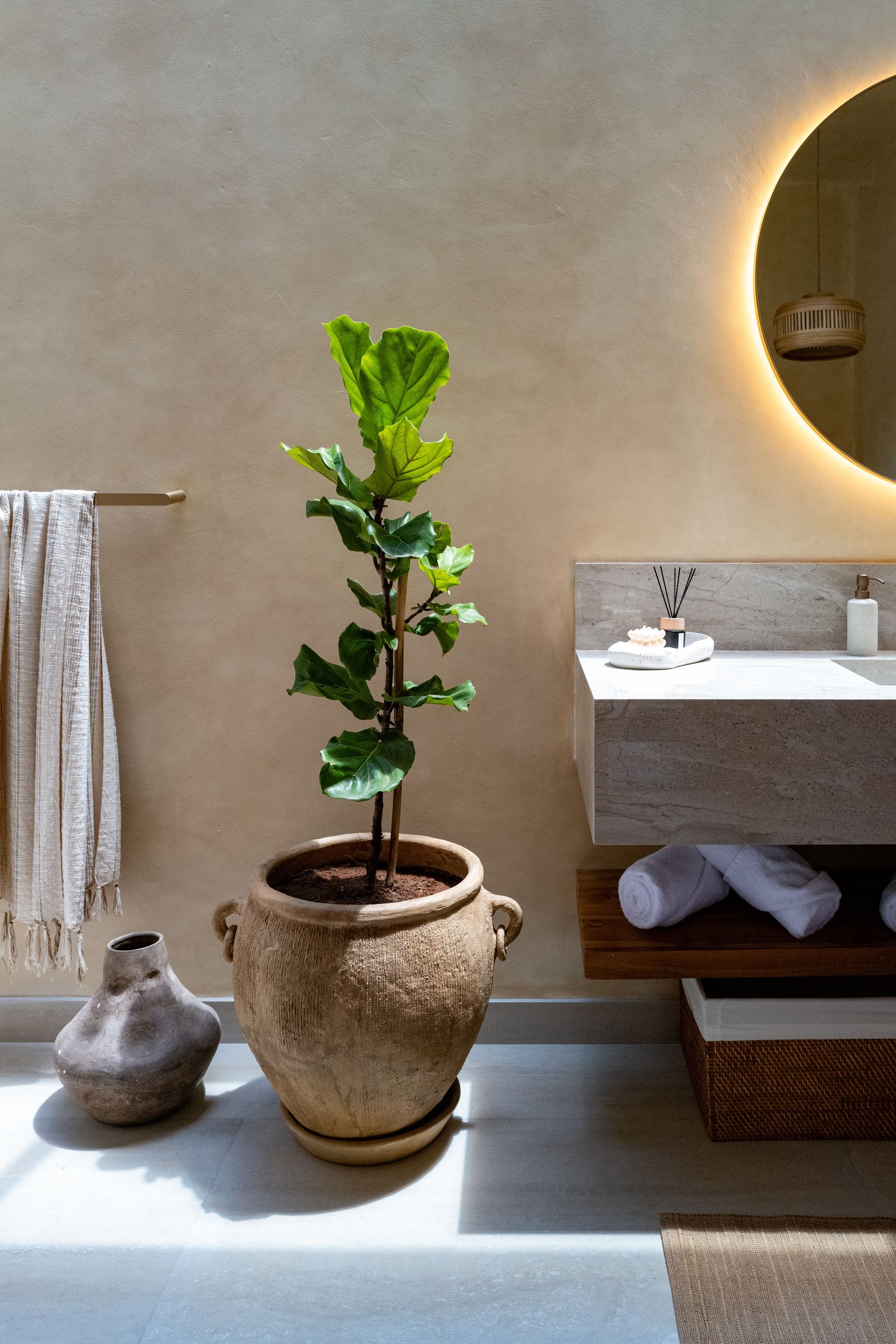 Bathroom with a large potted plant, stone sink, and gold-framed mirror.