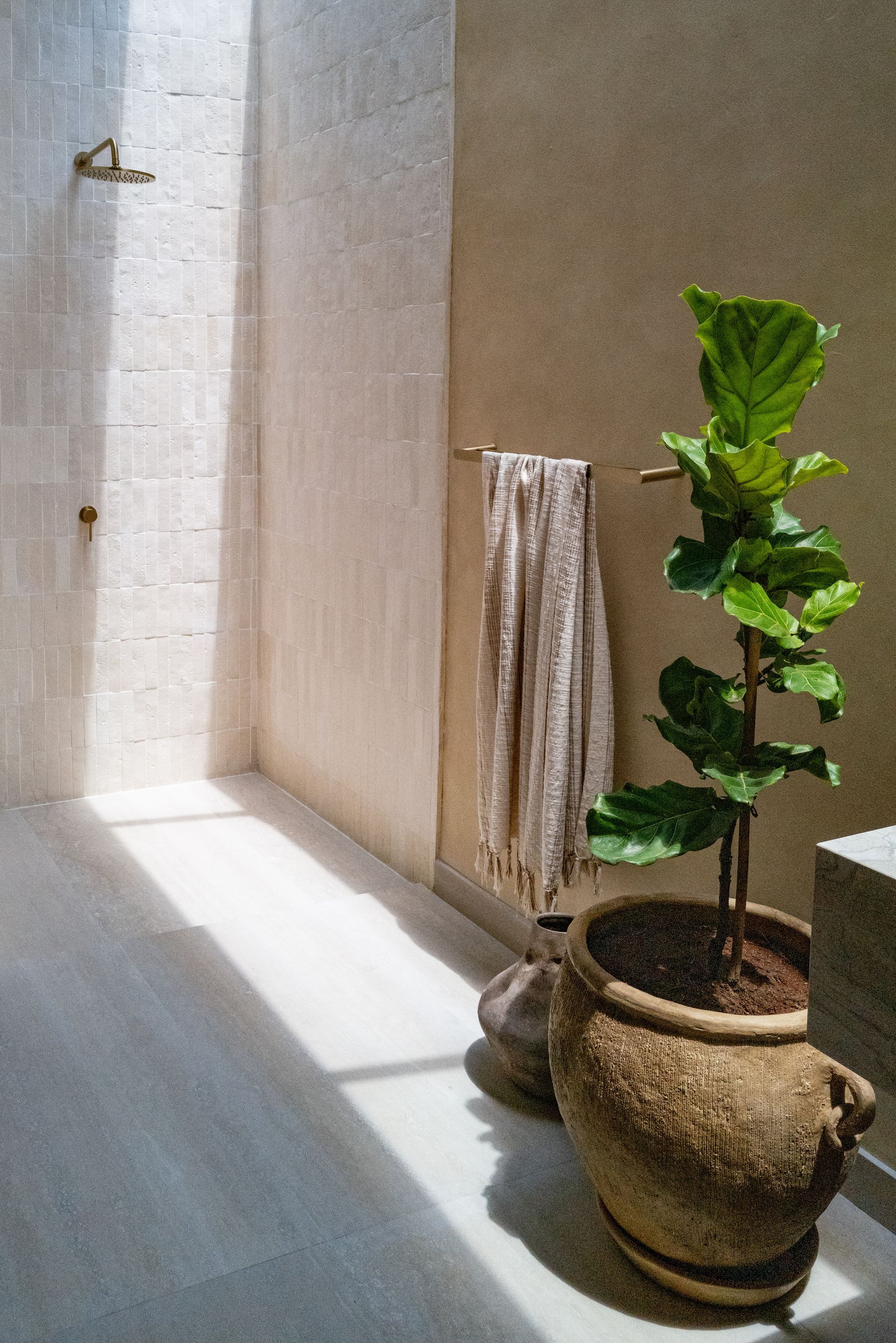Shower with natural light, tiled walls, potted plant, and towel.