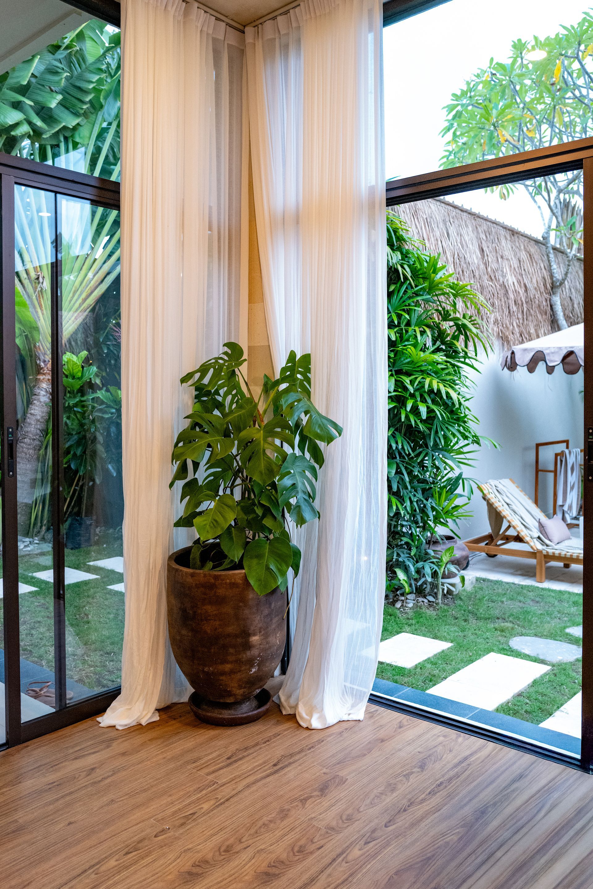 Large potted plant next to sheer curtains in a room with a view of a patio.